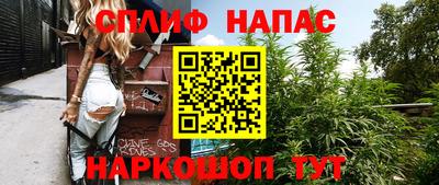 спиды Будённовск