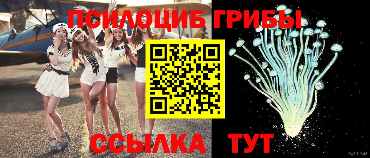 Галлюциногенные грибы MAGIC MUSHROOMS  Вход с VPN  Нововоронеж 